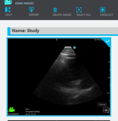 Screen Shot 2022-12-14 at 10.53.28 AM